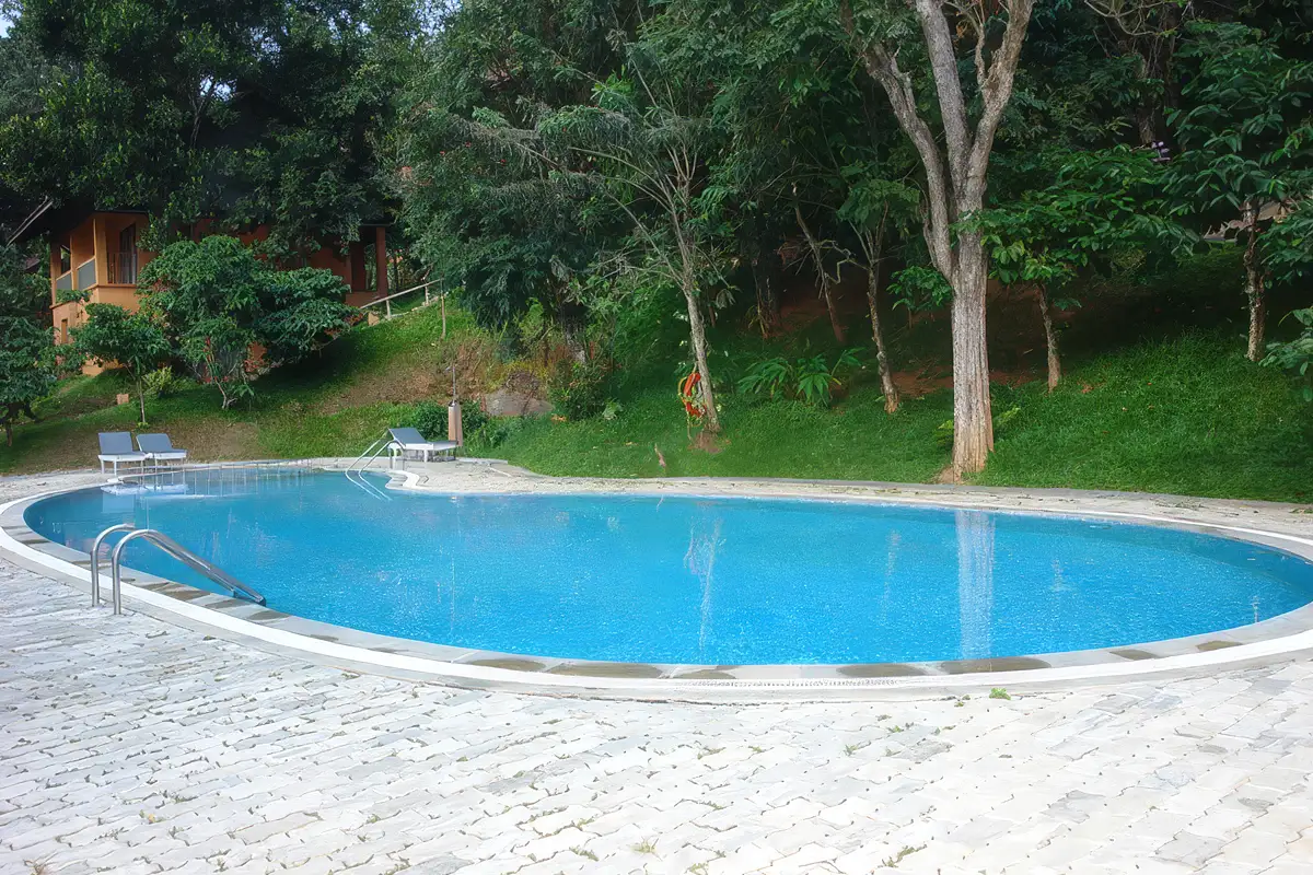 Resort swimming pool Abad Hotel, Thekkady, Kerala — outdoor pool surrounded by greenery
